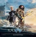 Film Aquaman and the Lost Kingdom 2023 Subtitle Indonesia Poster