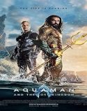 Film Aquaman and the Lost Kingdom 2023 Subtitle Indonesia Poster