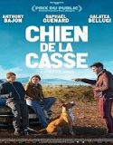 Film Comedy Junkyard Dog 2023 Subtitle Indonesia Poster