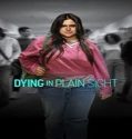 Film TV Movie Dying in Plain Sight 2024 Subtitle Indonesia Poster