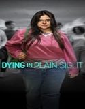 Film TV Movie Dying in Plain Sight 2024 Subtitle Indonesia Poster