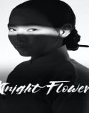 Drama Korea Knight Flower 2024 Subtitle Indonesia Poster