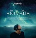 Nonton Animalia 2023 Sub Indo Poster