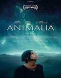 Nonton Animalia 2023 Sub Indo Poster