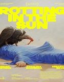 Nonton Rotting in the Sun 2023 Sub Indo Poster