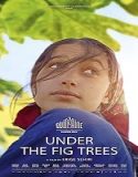 Nonton Under the Fig Trees 2021 Sub Indo Poster