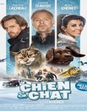 Nonton Cat And Dog 2024 Sub Indo Poster