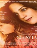Nonton Shayda 2023 Sub Indo Poster
