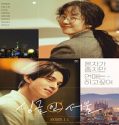 Nonton Single in Seoul 2023 Subtitle Indonesia Poster