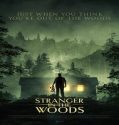 Nonton Stranger in the Woods 2024 Sub Indo Poster