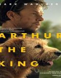 Nonton Arthur the King 2024 Subtitle Indonesia Poster