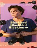 Nonton Blackbird Blackbird Blackberry 2024 Sub Indo Poster