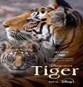 Film Dokumenter Tiger 2024 Sub Indo Poster