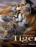 Film Dokumenter Tiger 2024 Sub Indo Poster