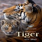 Nonton Film Dokumenter Tiger 2024 Sub Indo Online kebioskop21