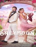 Nonton Honeymoonish 2024 Sub Indo Poster