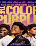 Nonton The Color Purple 2023 Subtitle Indonesia Poster