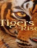 Nonton Tigers on the Rise 2024 Subtitle Indonesia Poster