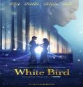 Nonton White Bird 2024 Subtitle Indonesia Poster