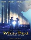 Nonton White Bird 2024 Subtitle Indonesia Poster