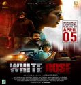 Nonton White Rose 2024 Subtitle Indonesia Poster