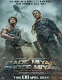 Nonton Bade Miyan Chote Miyan 2024 Sub Indo Poster