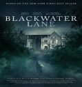 Blackwater Lane 2024 Poster