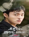 Nonton Drama High School Return of a Gangster 2024 Sub Indo Poster