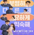 Drama Korea terbaru Miss Night and Day 2024 Sub Indo Poster