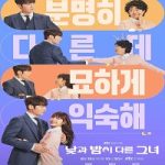 Nonton Drama Korea Miss Night and Day 2024 Subtitle Indonesia Online kebioskop21