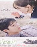 Nonton Drama Serendipity’s Embrace 2024 Sub Indo Poster