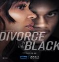 Nonton Tyler Perrys Divorce in the Black 2024 Sub Indo Poster