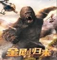 Nonton KingKong is Coming Back 2024 Sub Indo Poster