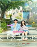 Nonton Drama Love Next Door 2024 Sub Indonesia Poster