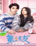 Nonton Drama Romantic Boyfriend 2024 Subtitle Indonesia Poster