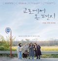 Nonton A Letter from Kyoto 2023 Sub Indonesia Poster