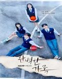 Nonton Drama Perfect Family 2024 Subtitle Indonesia Poster