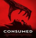 Nonton Consumed 2024 Subtitle Indonesia Poster