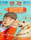 Dog Knows Everything 2024 Drama Korea Sub Indo Poster