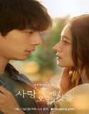Nonton Drama What Comes After Love 2024 Sub Indo Poster