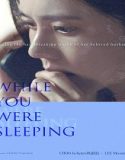 Nonton While You Were Sleeping 2024 Subtitle Indonesia Poster