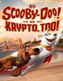 Nonton Scooby Doo And Krypto Too 2023 Subtitle Indonesia Poster