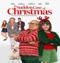 Film A Sudden Case of Christmas 2024 Subtitle Indonesia Poster