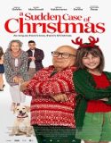 Film A Sudden Case of Christmas 2024 Subtitle Indonesia Poster