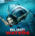 Blind Waters (2023) Poster