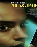 Nonton Film Magpie 2024 Sub Indo Poster