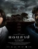 The Cursed Land (2024) Poster