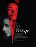 Film The Wasp 2024 Subtitle Indonesia Poster