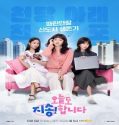 Sorry Not Sorry (2024) Poster