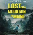 Lost on a Mountain in Maine (2024) Poster